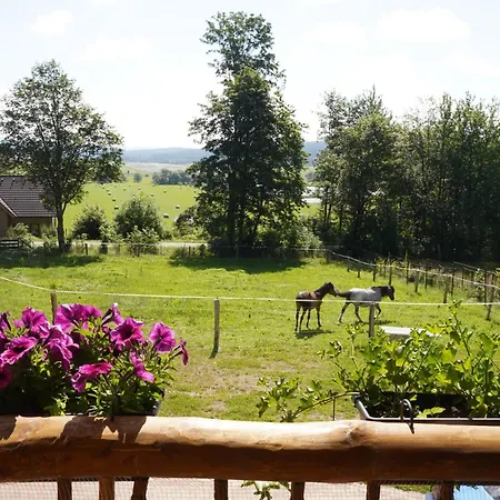 Feriegård Vysoka Stara Voda (Cheb)