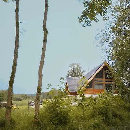 Vysoká