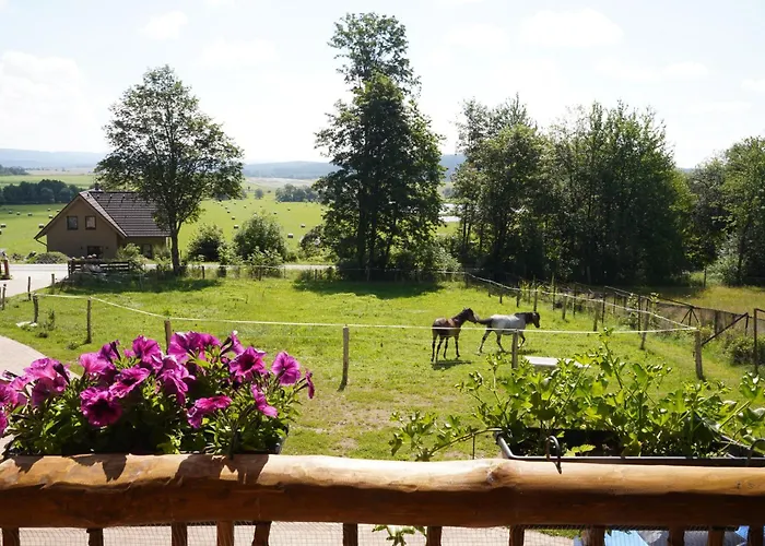 Farm stay Vysoka Stara Voda (Cheb)
