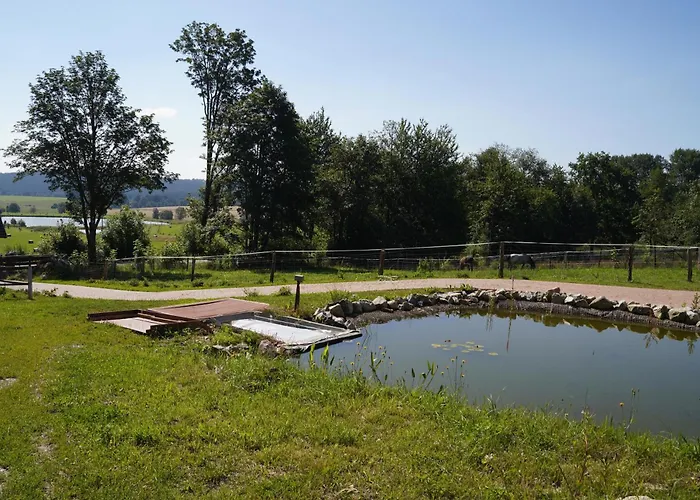 Farm stay Vysoka Stara Voda (Cheb)